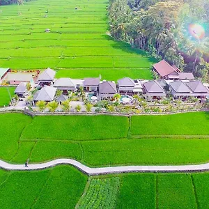 Jj And Ubud