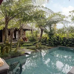 Moringa Ubud